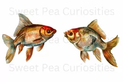 Fish, Clipart, Ephemera, PNG, Junk journal, Watercolor Product Image 3