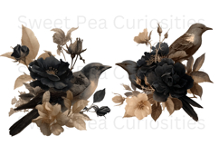 Birds, Black, Brown, Ephemera, PNG, Clipart Product Image 3