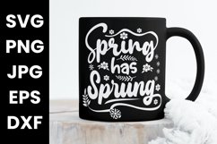 Spring Has Sprung, Spring Lovers Sayings SVG PNG JPG EPS DXF Product Image 3
