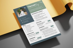 10 Resume CV - Canva Product Image 3