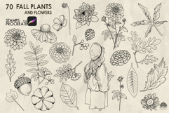 70 Fall plants and flowers Procreate stamp brush Product Image 3