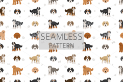 Bernedoodle dog mix Product Image 6