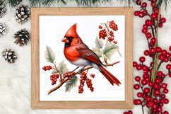 Christmas Cardinal Watercolor Clipart, Christmas Cardinal Product Image 3
