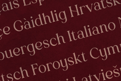 Creators Type Wavy Serif Font Product Image 3