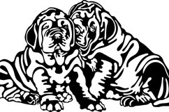 Mastife dog/Two Mastife/Dog Svg/Png/Jpg/Ai/Vector pet Product Image 4