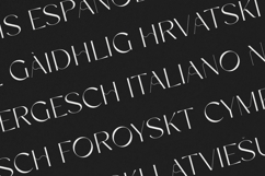 Metanoia Elegant Futuristic Serif Font Product Image 3