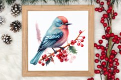 Christmas Birds Clipart , Christmas Birds Clipart Product Image 3