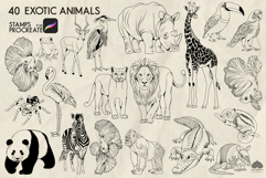 Exotic Animals Procreate Stamps Product Image 3