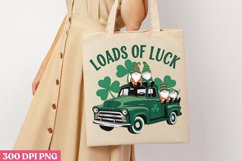 Loads of Luck PNG, St Patricks Day Gnome Subli Product Image 3