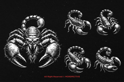 10 Bundle Dark Art Scorpio Gothic Scorpion Horror Zodiac Product Image 5