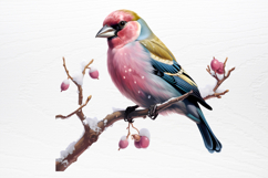 Chirstmas Birds Clipart PNG Product Image 3