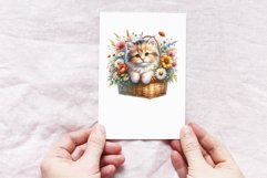 Cute Kitten Product Image 3