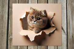 Cats &amp; wall | skinny tumbler Sublimation design bundle Product Image 3