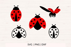 Ladybug SVG PNG DXF Bundle 10 Designs Product Image 3