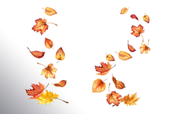 Golden leaves Product Image 2