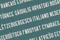 HARRISON Creative Display Font Product Image 3