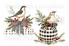 Christmas, Birds, Ephemera, PNG, watercolor, Clipart Product Image 3
