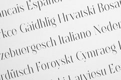Future Flow Elegant Serif Typeface Product Image 3