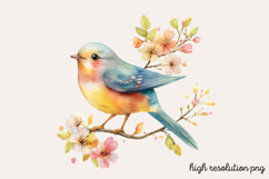 Watercolor Spring Garden Clipart Bundle PNG Product Image 8