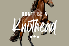 Bhiletha Fileboy Product Image 4