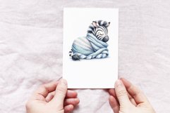 Baby Zebra Product Image 3