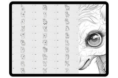 50 Procreate Unicorns Stamp Brushes Product Image 7
