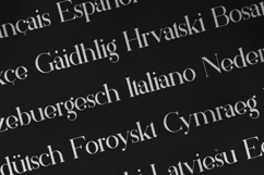 Silver Queen Serif Elegant Typeface for Branding Product Image 3