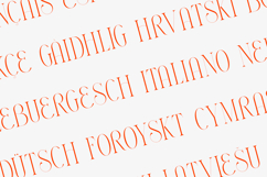 Thorntale Elegant Modern Serif Font Product Image 3