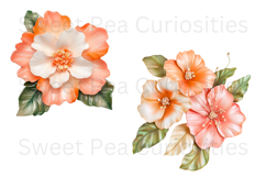 Flowers, Ephemera, PNG, Junk Journal, clipart Product Image 3