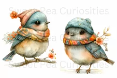 Bird, Fall, Autumn, Ephemera, PNG, watercolor, Clipart Product Image 3