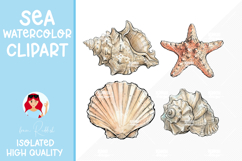 32 Summer Seashells Watercolor Cliparts Product Image 4