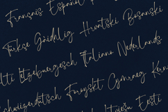 Whimsy Write Elegant Handwritten Script Font Product Image 3