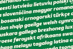 Armonia Forte Bold Italic Display Font Product Image 3