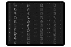55 Procreate Unicorns Stamp Brushes Product Image 6