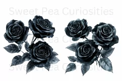 Flowers, Black, Ephemera, PNG, watercolor, Clipart Product Image 3