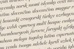 Aviel Elegant Expressive Serif Font Product Image 3