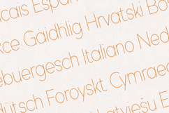 Modern Heritage Elegant Minimal Sans Serif Font Product Image 3