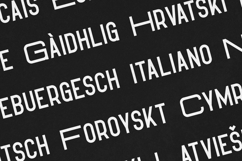 Hippo Modern Futuristic Display Font Product Image 3