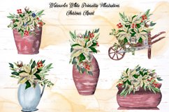 White Poinsettia Illustrations Product Image 3