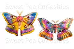 Moths, Junk Journal, PNG, Clipart, Ephemera, Butterflies Product Image 3