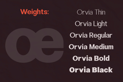 Orvia - Family Sans Serif Typeface Product Image 3