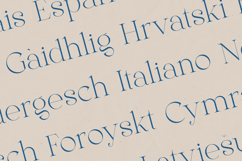 Gleed Elegant Modern Serif Font Product Image 3