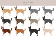 Akita Husky mix clipart Product Image 2