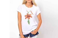 Lily Flower Watercolor Sublimation Print Lilium Illustration Product Image 3