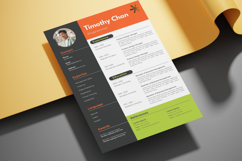 08 Professional Resume CV - Canva Product Image 3