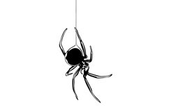 Spider Svg/Png/Jpg/Ai/Vector Spider/Black spider Svg Product Image 4