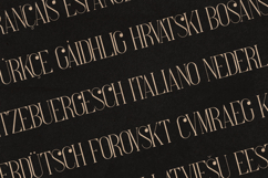 French Elegant Modern Serif Font Product Image 3