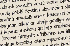 Orlan Raw Brush Drawn Sans Font Product Image 3