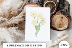 Watercolor Primrose Flowers Bouquet png Product Image 3