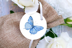Watercolor Blue Butterfly Clipart Product Image 3